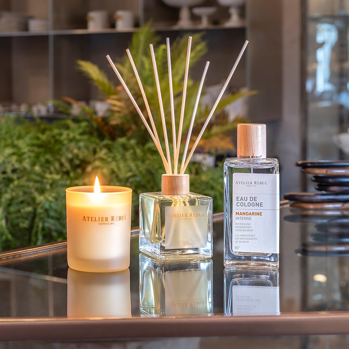 REED DIFFUSER MANDARINE  120ML