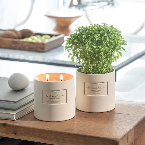 FRESH CUT FIG & COCONUT SCENTED CANDLE 650 G EU
