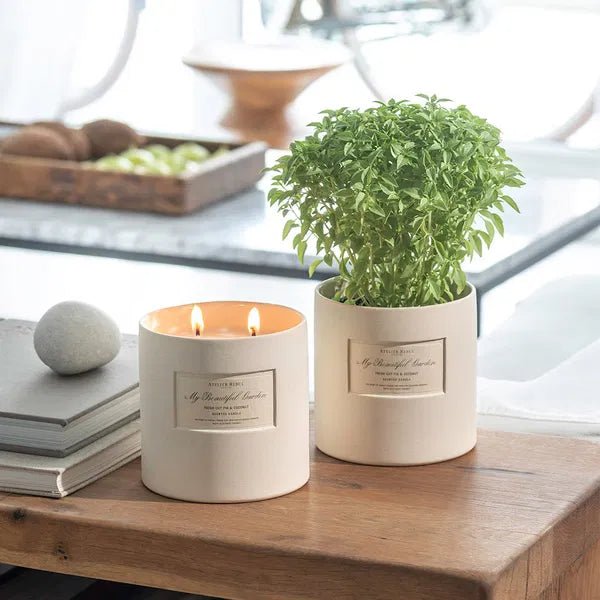 All - FRESH CUT FIG & COCONUT SCENTED CANDLE 650 G EU - Atelier Rebul UK